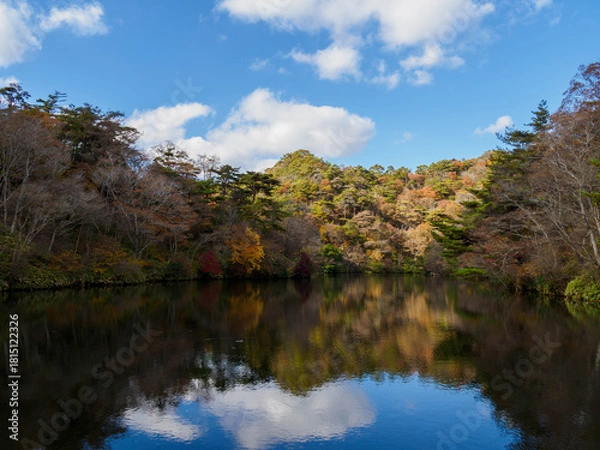 Obraz 秋の神戸布引の自然　木々が色づく11月