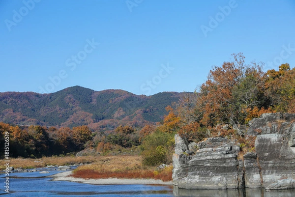 Fototapeta 山の紅葉と川