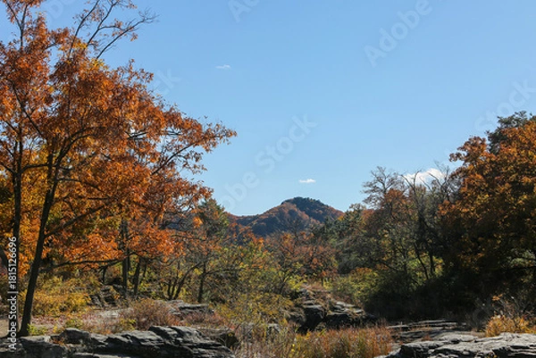 Fototapeta 山奥の紅葉