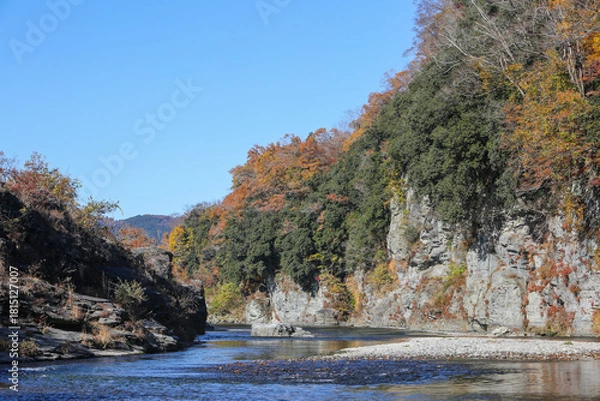 Fototapeta 渓谷と紅葉