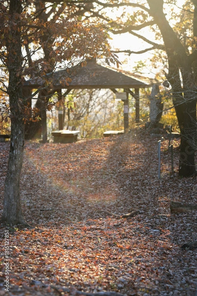 Fototapeta 山奥の休憩所