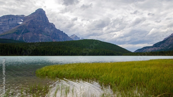 Fototapeta Waterfowl Lakes and Mount Chephren
