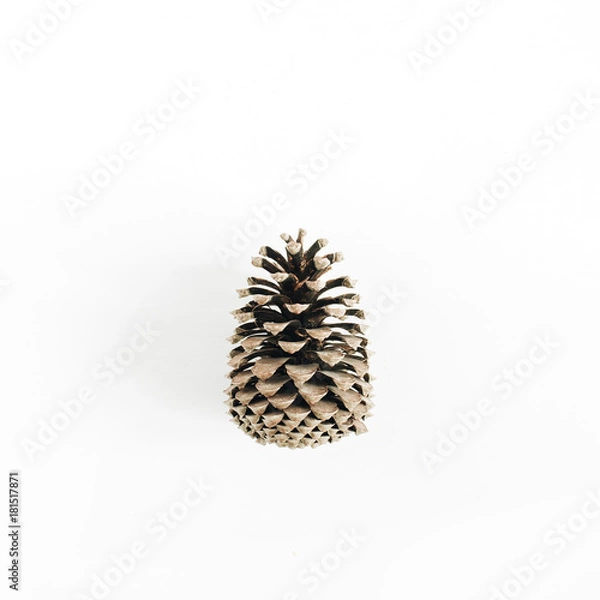 Fototapeta Pine cone on white background. Minimal flat lay.