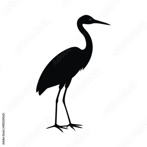 Obraz A silhouette of a heron standing gracefully against white space