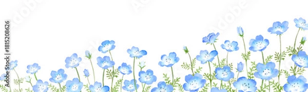 Fototapeta 水彩で描いたネモフィラ畑