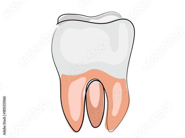 Obraz Teeth in a continuous line pattern