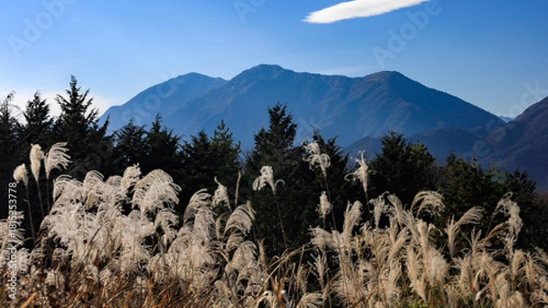 Fototapeta 晩秋の富士山麓展望台から　天子山地毛無山の絶景　　富士河口湖町