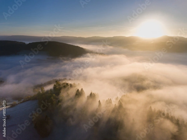 Obraz Schwarzwald von oben