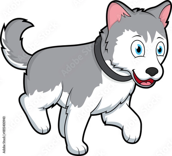 Obraz Cute Husky dog walking