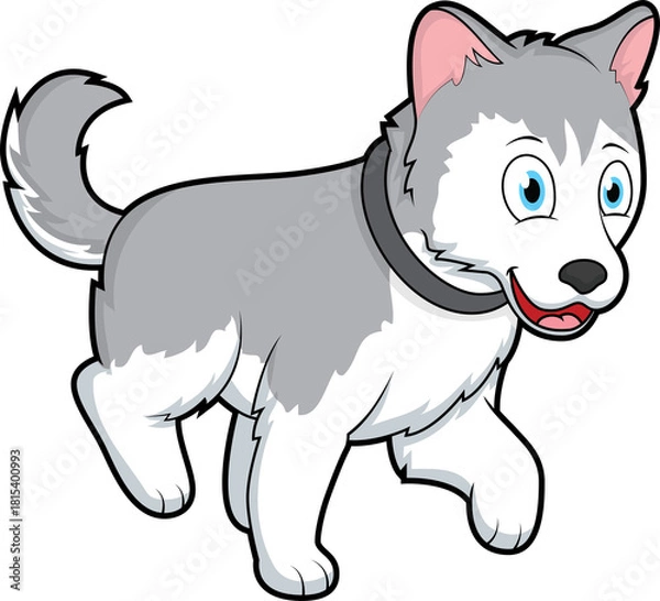 Obraz Cute Husky dog walking