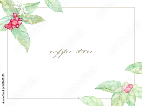 Obraz coffee tree frame