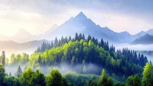 Fototapeta A breathtaking view of a misty mountain range with a vibrant green forest in the foreground, bathed in soft morning light.