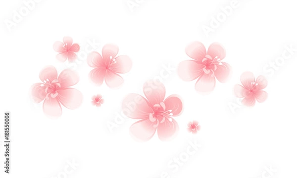 Obraz Pink flowers isolated on white background. Apple-tree flowers. Cherry blossom. Vector