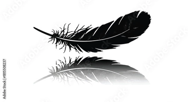 Fototapeta Delicate black feather floats gracefully over its soft reflection
