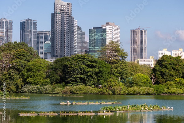 Fototapeta Modern Colombo skyline overlooking a lakeside with floating islands and egrets, Sri Lanka