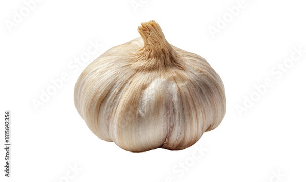 Fototapeta A single bulb of garlic sits isolated on a black background