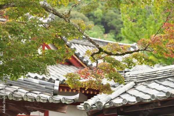Fototapeta 粉河寺