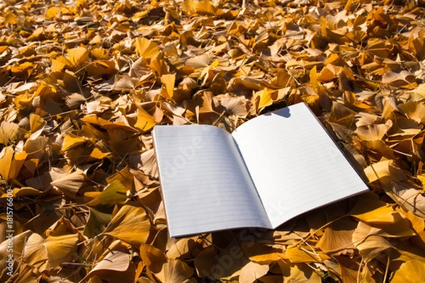Fototapeta  Fallen autumn leaves background with open book in outdoor 
