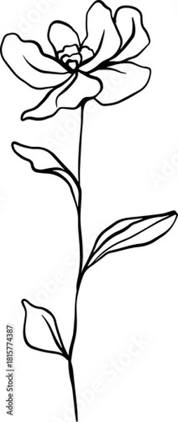 Obraz botanical line art