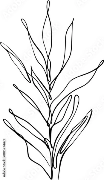 Obraz botanical line art