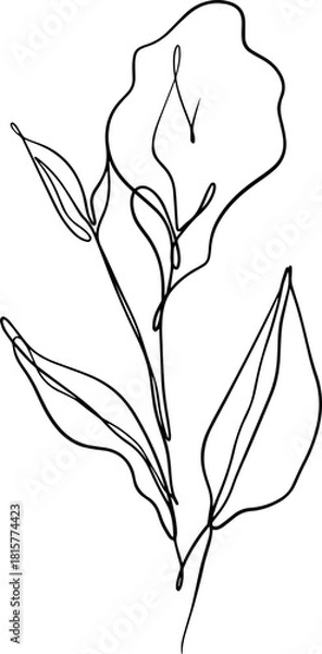 Obraz botanical line art