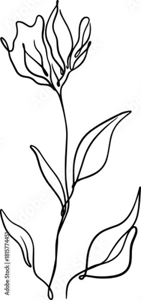Obraz botanical line art