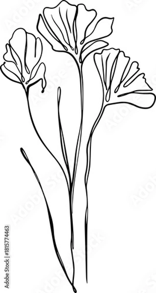 Obraz botanical line art