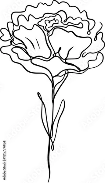 Obraz botanical line art