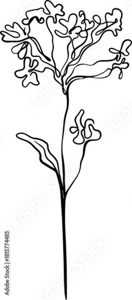 Obraz botanical line art