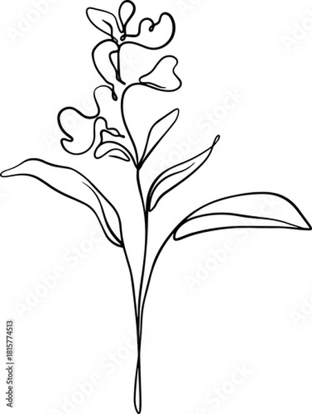 Obraz botanical line art