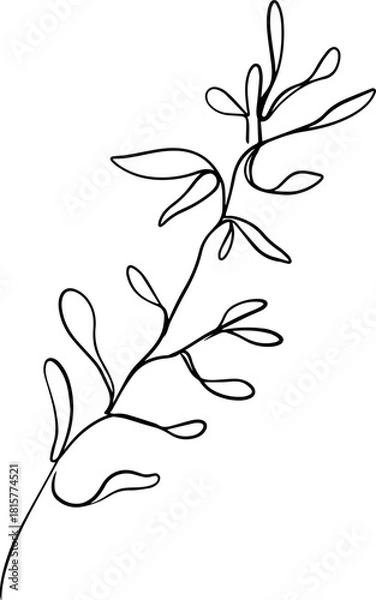 Obraz botanical line art