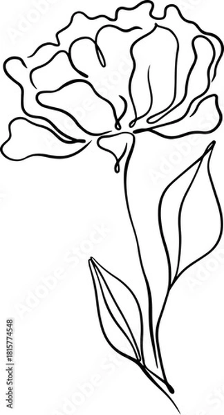 Obraz botanical line art
