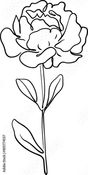 Obraz botanical line art