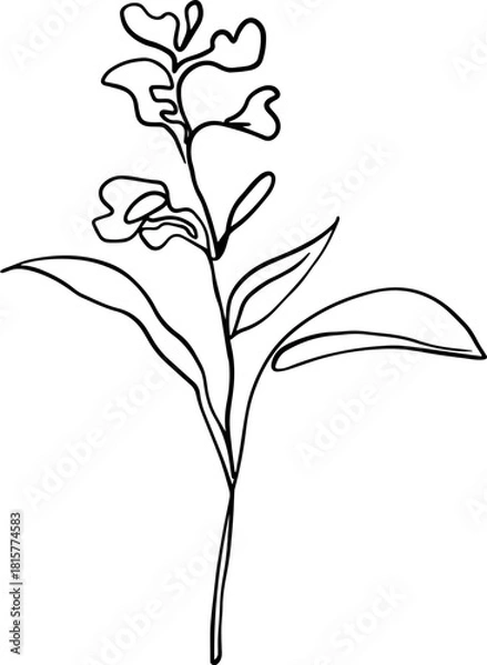 Obraz botanical line art