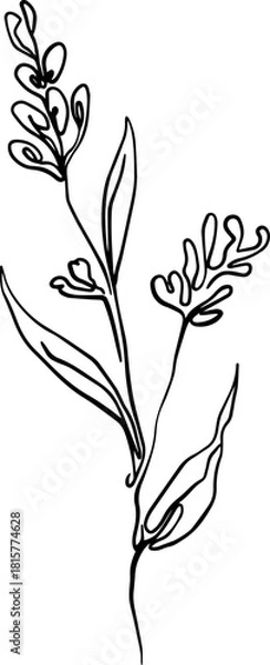 Obraz botanical line art