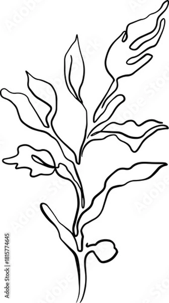 Obraz botanical line art