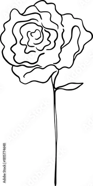 Obraz botanical line art