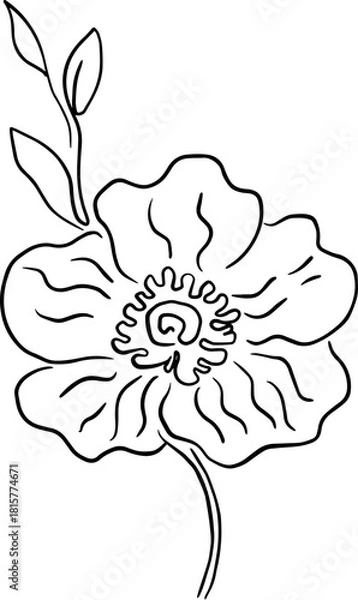 Obraz botanical line art