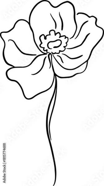 Obraz botanical line art