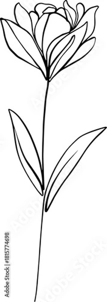 Obraz botanical line art