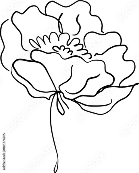 Obraz botanical line art