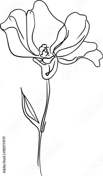 Obraz botanical line art