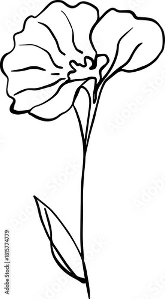 Obraz botanical line art