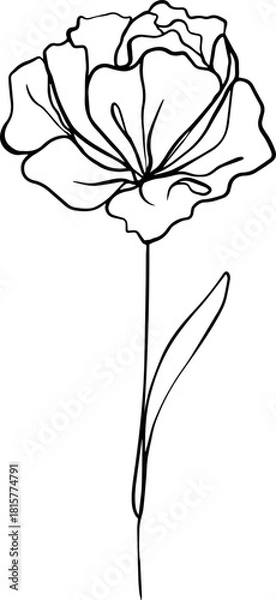 Obraz botanical line art