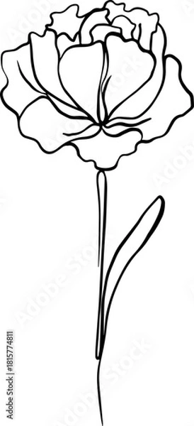 Obraz botanical line art
