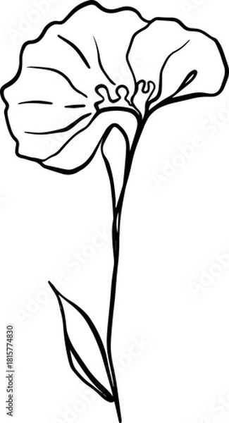 Obraz botanical line art