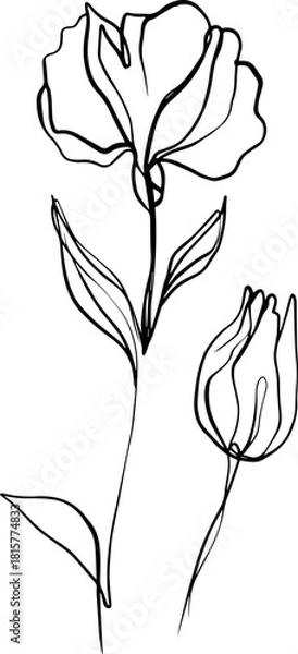 Obraz botanical line art