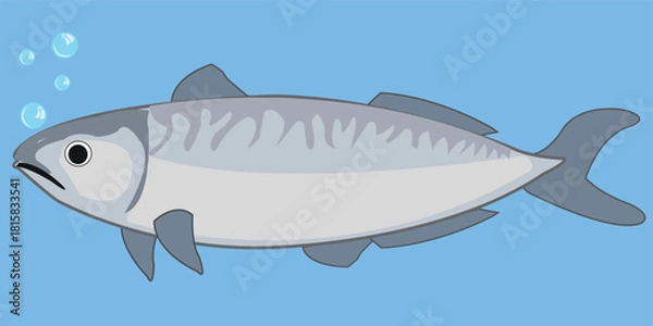 Fototapeta fish hake.eps