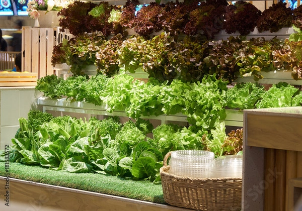 Obraz fresh organic vegetables for sell