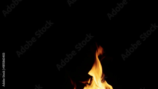 Obraz fire flames of campfire over black background, for overlay